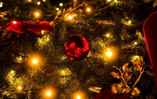 christmas tree image for christmas orders page