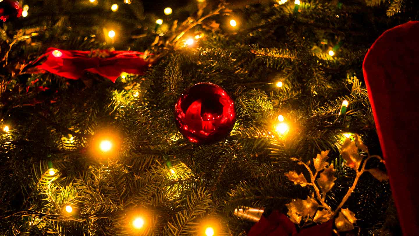 christmas tree image for christmas orders page